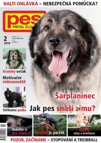 E-magazín Pes přítel člověka 2/2016 - Pražská vydavatelská společnost