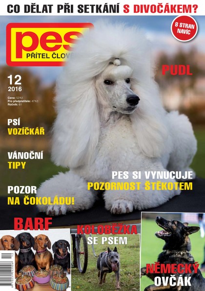 E-magazín Pes přítel člověka 12/2016 - Pražská vydavatelská společnost