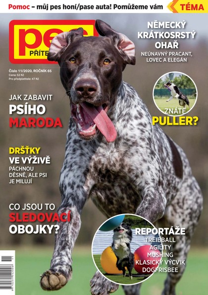 E-magazín Pes přítel člověka 11/2020 - Pražská vydavatelská společnost