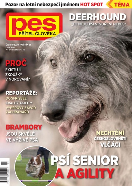 E-magazín Pes přítel člověka 8/2020 - Pražská vydavatelská společnost