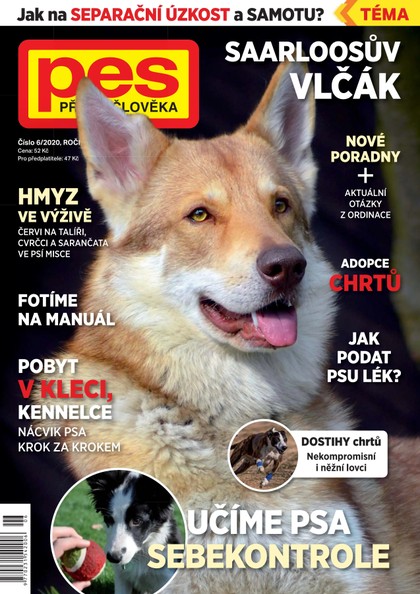 E-magazín Pes přítel člověka 6/2020 - Pražská vydavatelská společnost