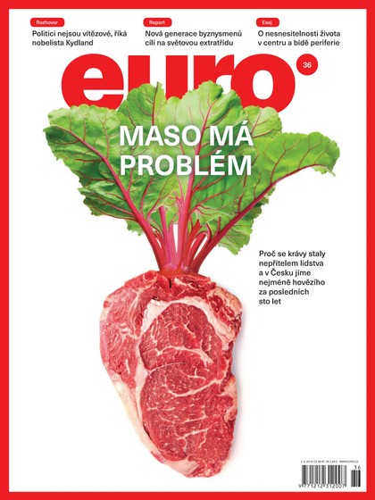 E-magazín EURO 36/2019 - New Look Media