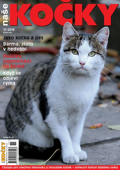 E-magazín Naše kočky, 11-2019 - Nakladatelství Minerva CZ, s. r. o.