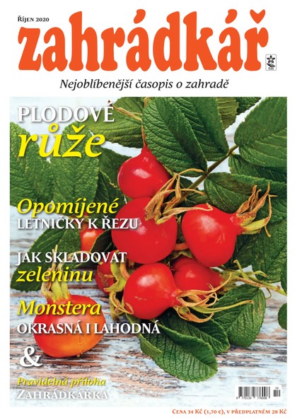 E-magazín Zahrádkář 10/2020 - Zahrádkář