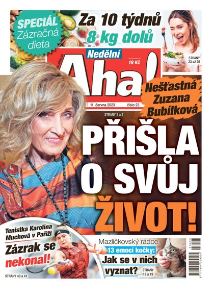 E-magazín Nedělní AHA! - 11.6.2023 - CZECH NEWS CENTER a. s.