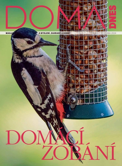E-magazín DOMA DNES - 31.1.2024 - MAFRA, a.s.