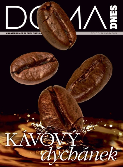 E-magazín DOMA DNES - 14.2.2024 - MAFRA, a.s.