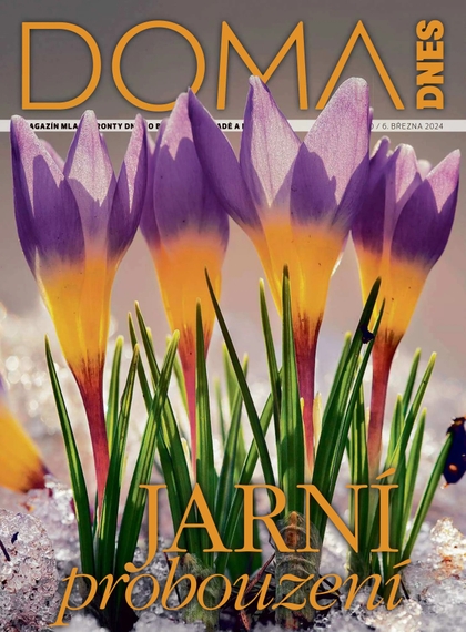 E-magazín DOMA DNES - 6.3.2024 - MAFRA, a.s.