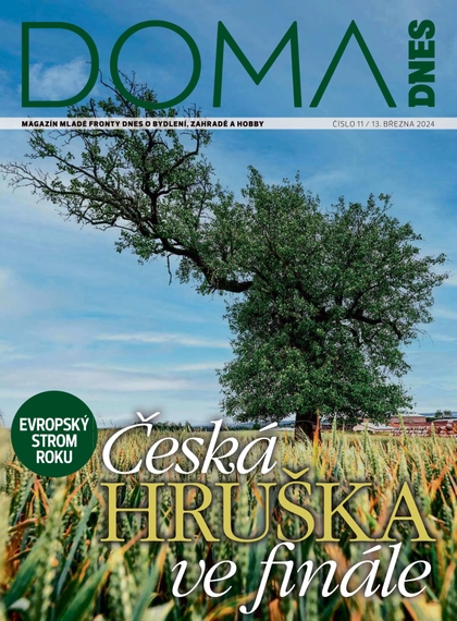E-magazín DOMA DNES - 13.3.2024 - MAFRA, a.s.