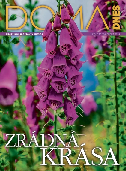 E-magazín DOMA DNES - 24.4.2024 - MAFRA, a.s.