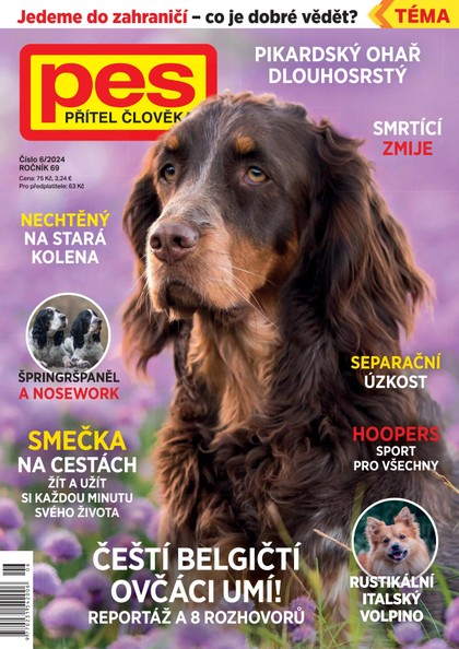 E-magazín Pes přítel člověka 6/2024 - Pražská vydavatelská společnost