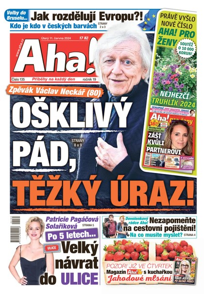 E-magazín AHA! - 11.06.2024 - CZECH NEWS CENTER a. s.