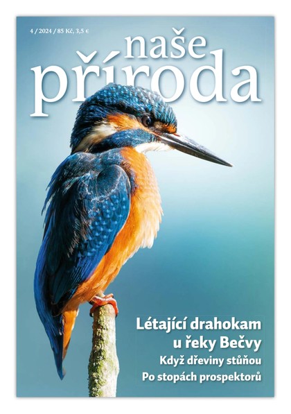 E-magazín Naše příroda 04/2024 - Naše příroda