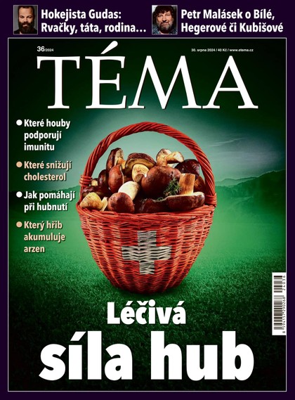 E-magazín TÉMA DNES - 30.08.2024 - MAFRA, a.s.