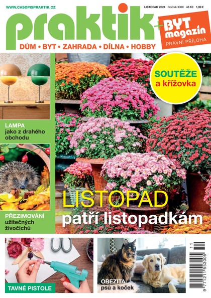 E-magazín  PRAKTIK & příloha Byt magazín 10/2024 PRAKTIK & příloha Byt magazín 11/2024 - Pražská vydavatelská společnost