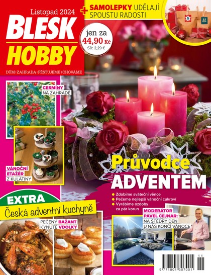 E-magazín BLESK HOBBY - 11/2024 - CZECH NEWS CENTER a. s.