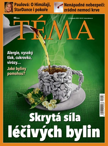 E-magazín TÉMA DNES - 08.11.2024 - MAFRA, a.s.