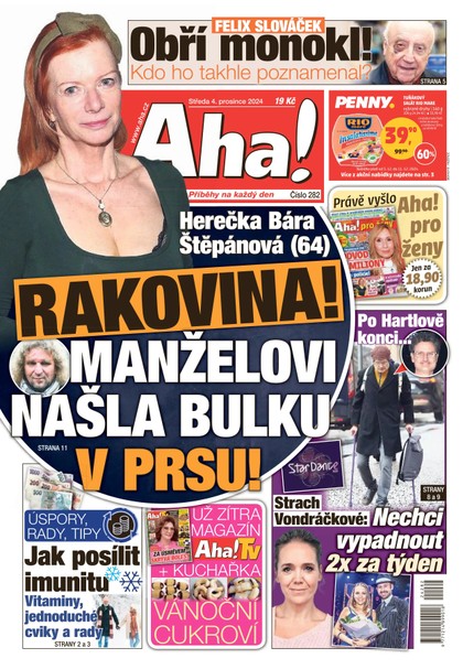 E-magazín AHA! - 04.12.2024 - CZECH NEWS CENTER a. s.