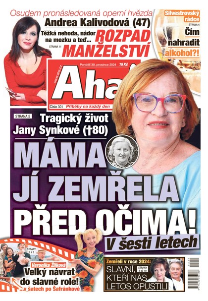 E-magazín AHA! - 30.12.2024 - CZECH NEWS CENTER a. s.