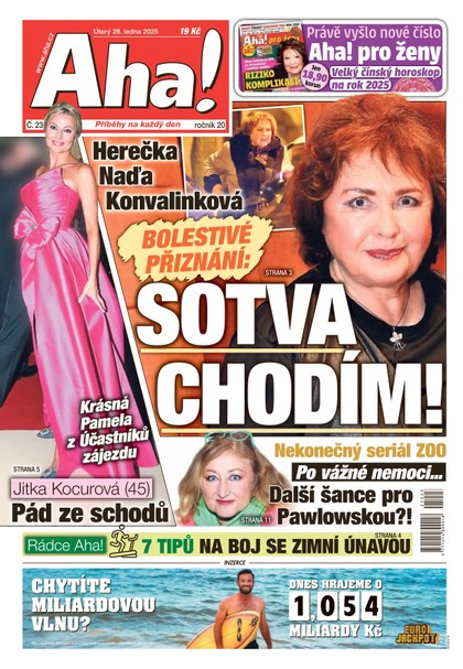 E-magazín AHA! - 28.01.2025 - CZECH NEWS CENTER a. s.