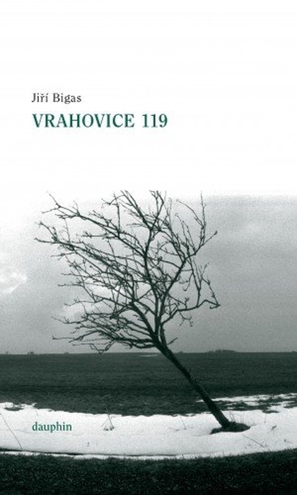 E-kniha Vrahovice 119 - Jiří Bigas