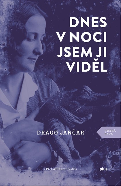 E-kniha Dnes v noci jsem ji viděl - Drago Jančar