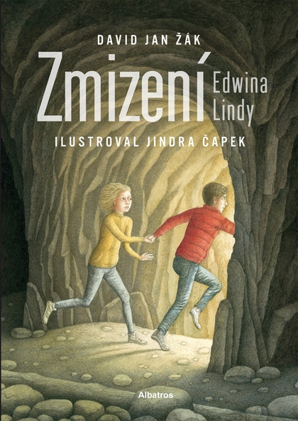 E-kniha Zmizení Edwina Lindy - David Jan Žák