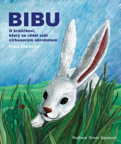 E-kniha Bibu - Petra Štarková