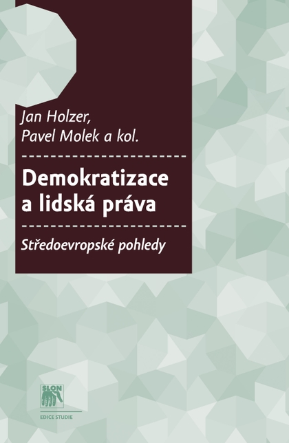 E-kniha Demokratizace a lidská práva - Pavel Molek, Pavel Dufek, Jan Holzer, Jiří Baroš