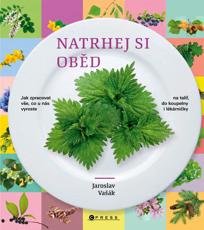 E-kniha Natrhej si oběd - Jaroslav Vašák