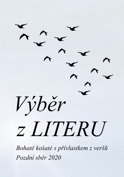 E-kniha Výběr z LITERU - Čeněk Pekař (ed.)