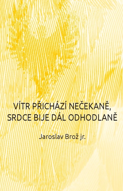 E-kniha Vítr přichází nečekaně, srdce bije dál odhodlaně - Jaroslav Brož
