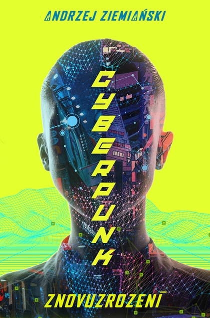 E-kniha Cyberpunk - Andrzej Ziemianski
