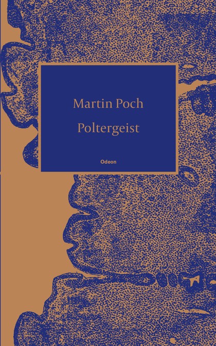 E-kniha Poltergeist - Martin Poch