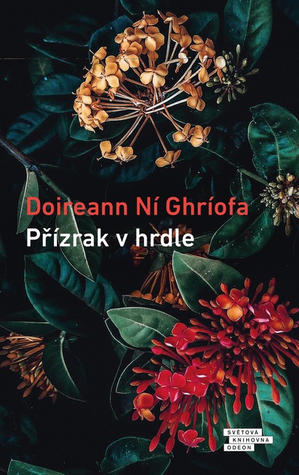 E-kniha Přízrak v hrdle - Doireann Ní Ghríofa