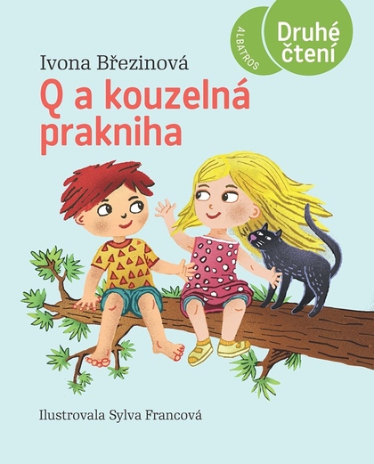 E-kniha Q a kouzelná prakniha - Ivona Březinová