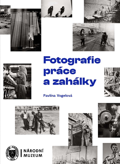 E-kniha Fotografie práce a zahálky - Pavlína Vogelová