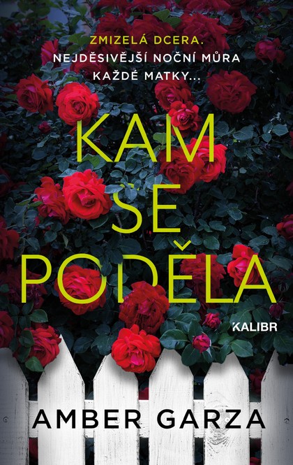 E-kniha Kam se poděla - Amber Garza