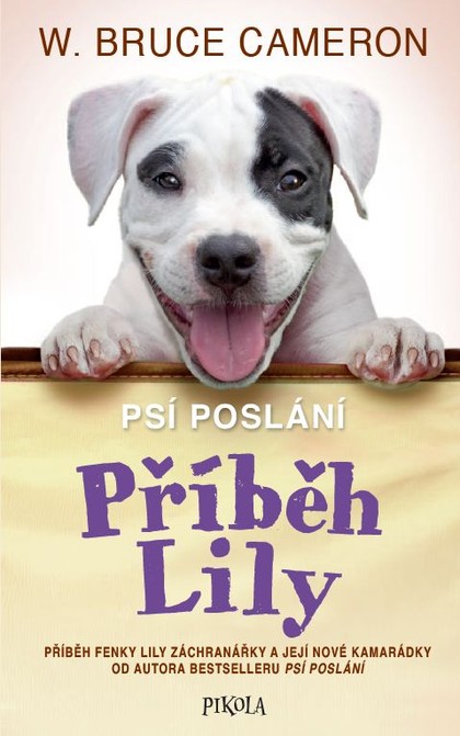 E-kniha Příběh Lily - Bruce Cameron