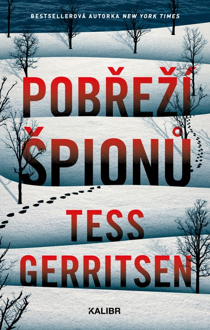 E-kniha Pobřeží špionů - Tess Gerritsen